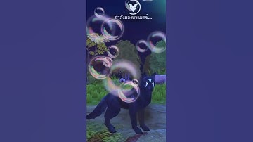 Wildcraft and Wolf Tales you will have sold by map🐺