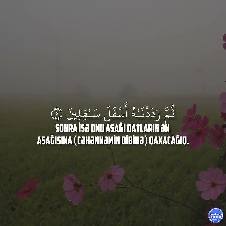 Raad Mohammad al Kurdi Surah Tin