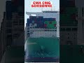 Die CMA CGM Sorbonne im Hamburger Hafen, Zeitraffer, Hamburg Waltershofer Hafen, Shipspotting