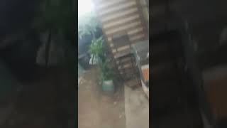 hgv