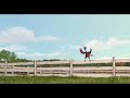 FREE BIRDS  Funniest Scene
