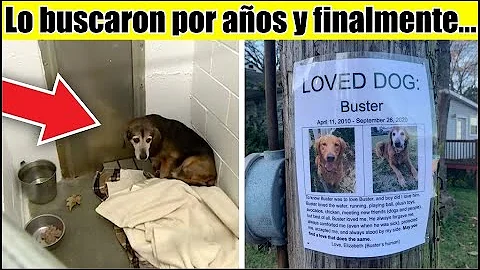 ¿Conoce un perro la voz de su dueño?