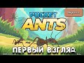 Pocket Ants Симулятор Колония муравьев первый взгляд #1