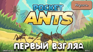 Pocket Ants Симулятор Колония муравьев первый взгляд #1
