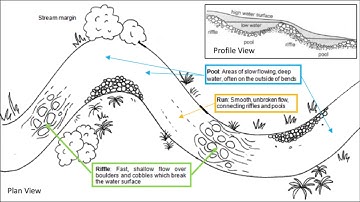 Field Techniques: Aquatic Macroinvertebrate Sampling
