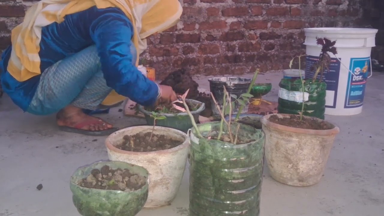 Hamnai banaya Chula, #video #vlog #lifestylevlog @YasmeenMansoori-h9h 