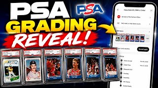 $22K in PSA Offers! 😱 Our 186-Card PSA Grading Reveal Is Worth $35K+!