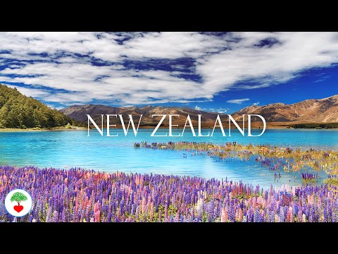 Relaxing Piano Music