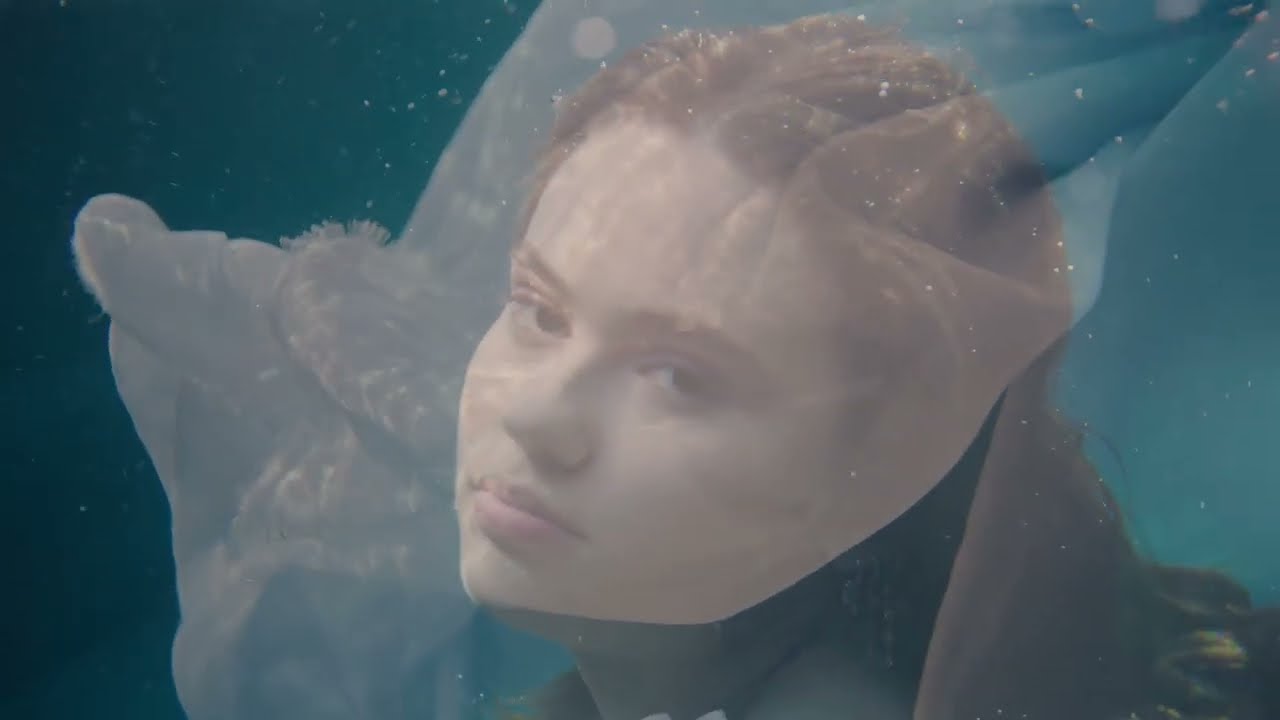 Watch Final Selection "The River" on YouTube Watch Final Selection "The River" on YouTube