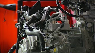 From car parts to chicken: Businesses feel the impact of global supply chain shortages