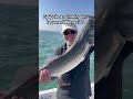 Black Minnow bianco e si va a comandare! 🤓 #spigola #seabass #fishing #fish #branzino