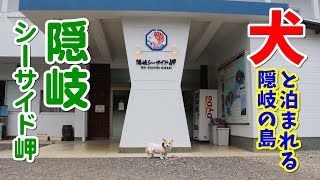 【隠岐の島×コーギー】犬と泊まれる隠岐の宿@隠岐シーサイド岬🏡