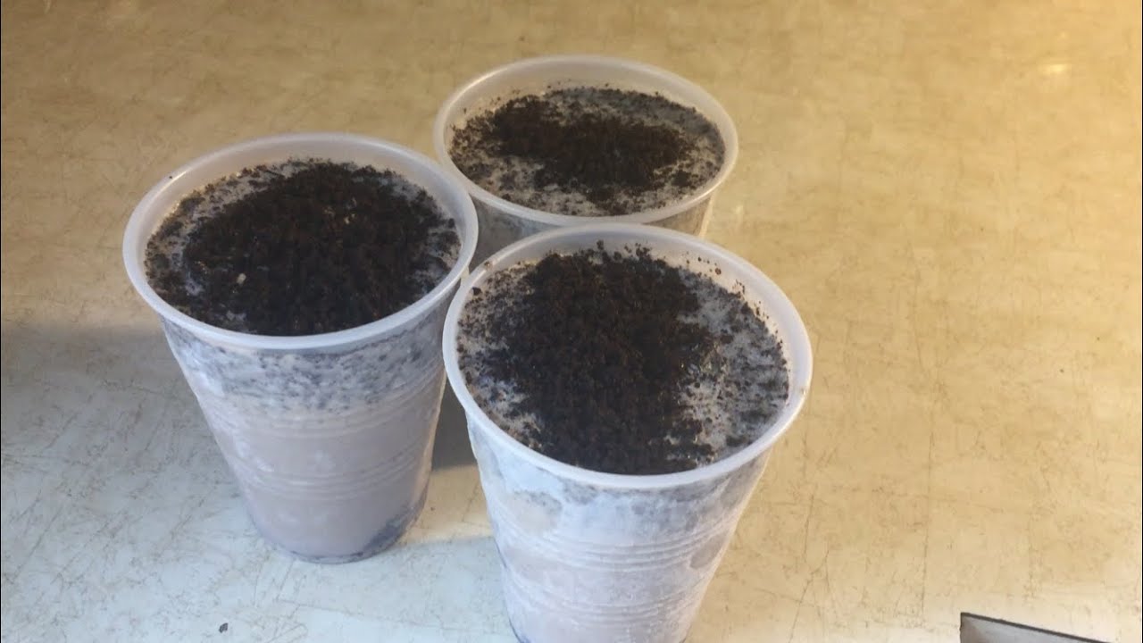 Limber de Oreo Cheesecake! YouTube