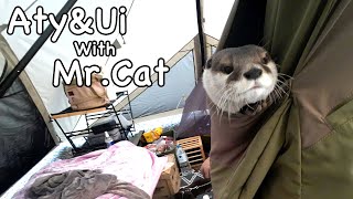 The otter melting in a warm tent. [Otter life Day 645]