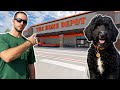 How to Socialize Your Dog at a Hardware Store