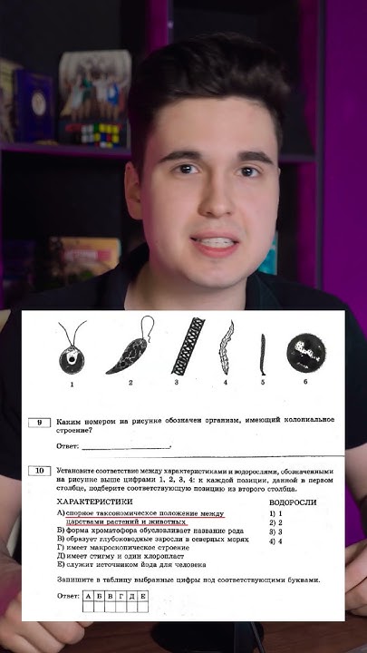 Эвглена зеленая – животное? - YouTube