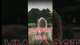 💌 «Я больше не жду, что кто-то спасёт меня» : #Вдохновение #ЛичностныйРост #Жизнь #Честность #Эмоции