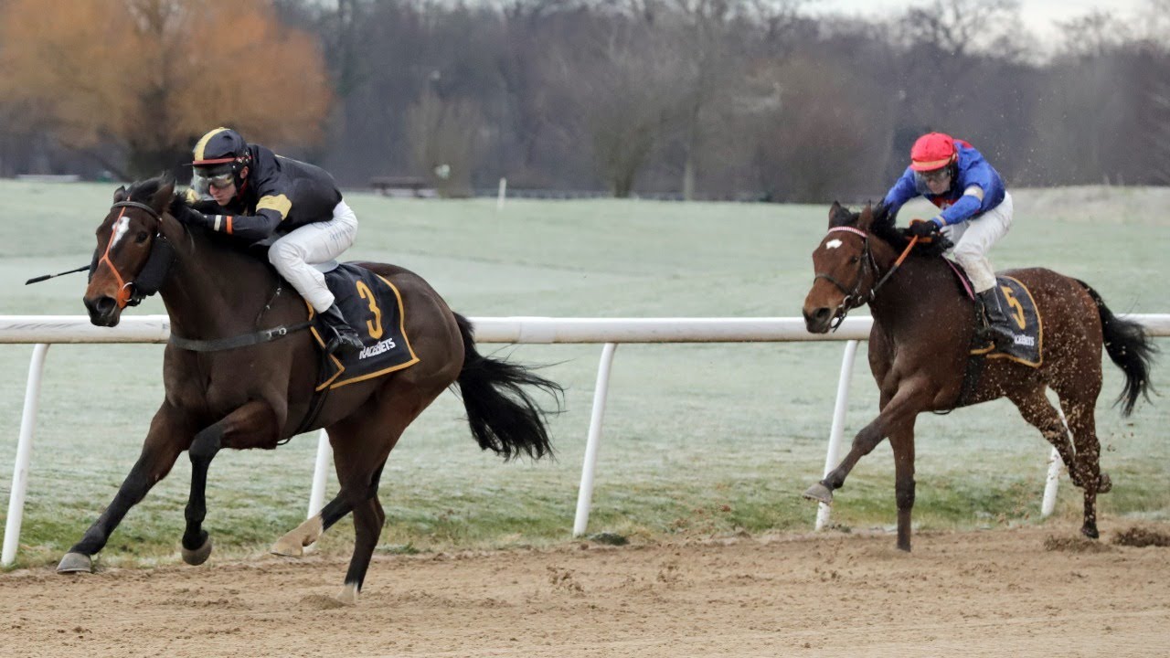 Renntag in Dortmund am 17.01.2021