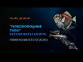 "Глубоководные рыбы" бессознательного. Приятно вместо опасно.