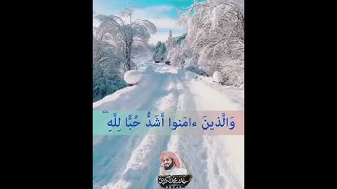 (ومن الناس من يتخذ من دون الله اندادا)  quraan kareem قران كريم رعد الكردي