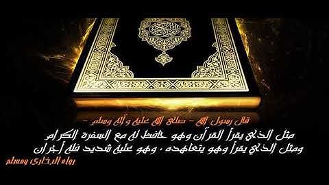 القران الكريم بصوت هاني الرفاعي من سورة الأنعام الى سورة يوسف