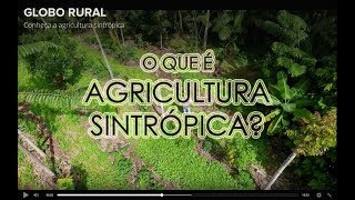 O que é Agricultura Sintrópica? | Globo Rural | Fazenda Ouro Fino