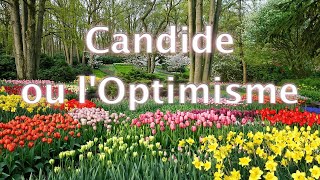 Candide, Chapitre 25
