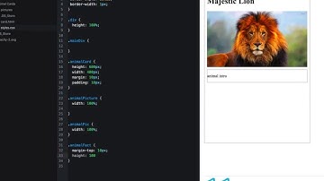 CAN code time lapse - Udacity University lesson: Animal Cards