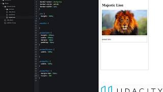 CAN code time lapse - Udacity University lesson: Animal Cards
