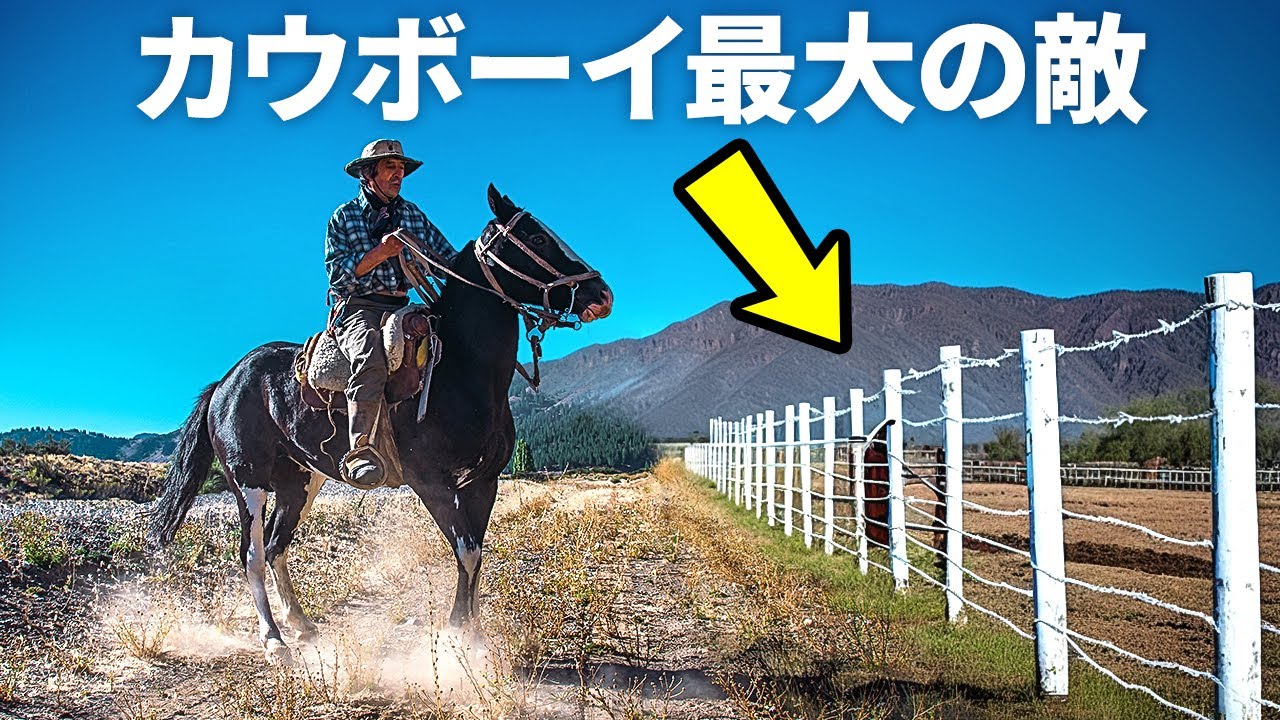 アメリカからカウボーイがいなくなったのはたった１つの発明のせいだった