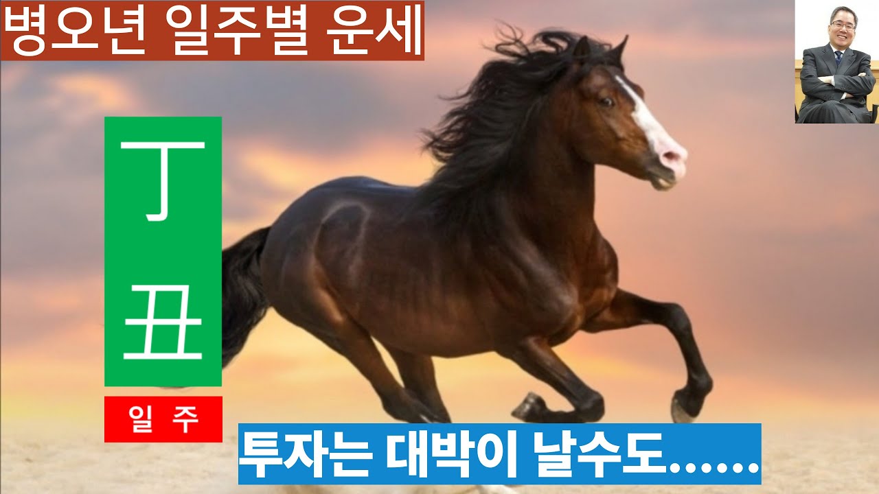 병오년운세ㅣ정축일주, 재고귀인으로 대박이 날 수도 있는 해