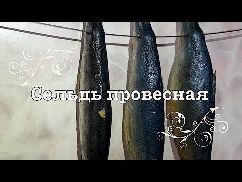 Сельдь провесная в домашних условиях