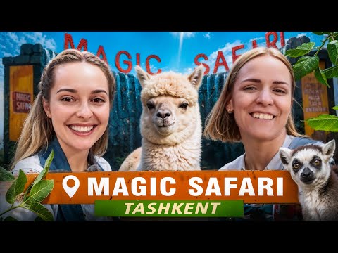 Ташкентский Magic Safari: