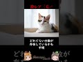 三毛猫のオスは地球にほぼ存在しない #shorts