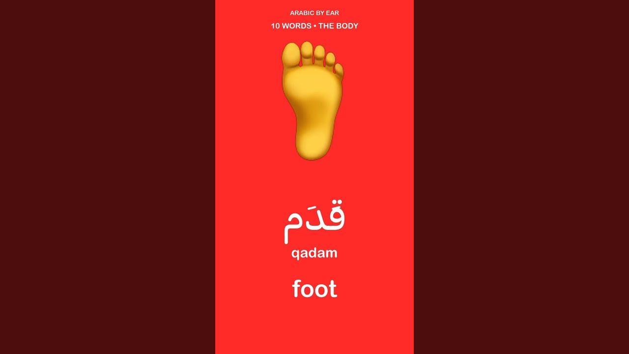 10 Body Parts in Arabic | Basic Arabic Vocabulary #shorts