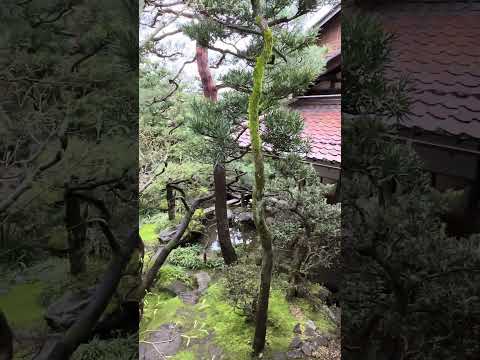 🌿 Nomura Family Samurai House, Kanazawa, Japan