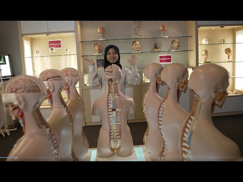 Thumbnail for SAS - Diploma in Biomedical Science