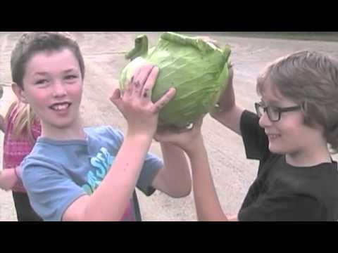 Ripton Elementary School Plant to plate