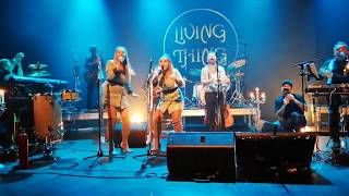 Living Thing - Shine A Little Light Elo Tribute