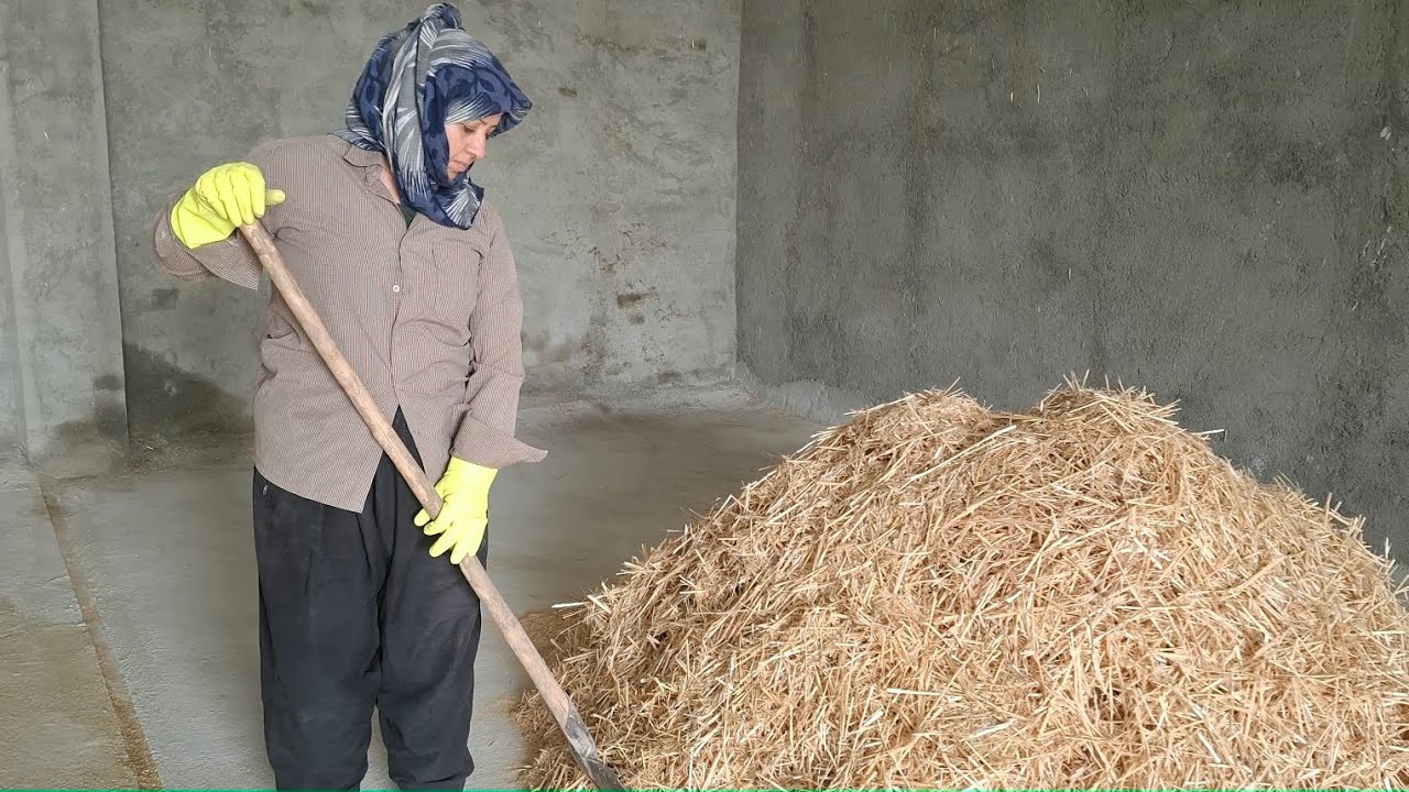 A Cold Winter Day Cleaning the Hay Storage.