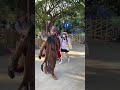                                                               نجومي