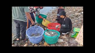 មកទិញក្តាមស្រស់ៗនៅកែប buy crabs from boat new delicious