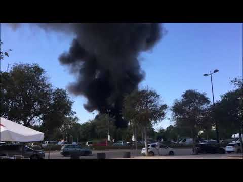 9.7.2019 | INCENDIO EN EL OCEANOGRÀFIC DE VALENCIA