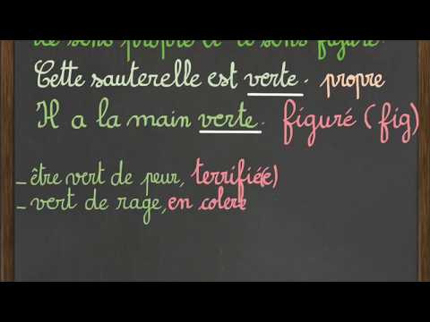 Vidéo: Est-ce que le sens des mots exercice et forme physique est différent ?