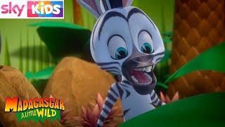 MADAGASCAR - Zoo Fun - Sky Kids