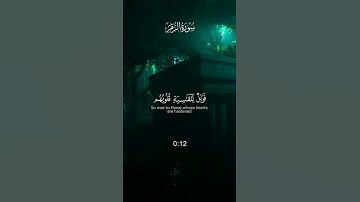 تلاوة تريح القلب من سورة الزمر | محمد الليحدان❤