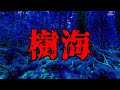 【2chゆっくり怖い話】みのりの体験談シリーズ〜樹海〜【実話シリーズ】