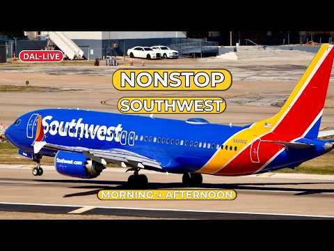 🚨 LIVE C-17 Globemaster at DAL! ✈️ Rare Military Departure + Southwest Action | LIVE ATC