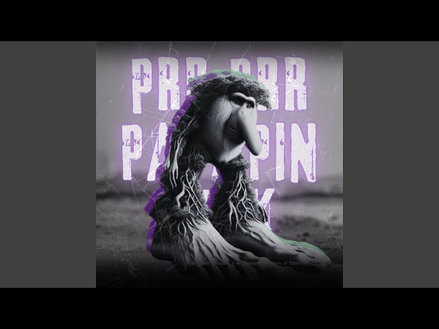 BRR BRR PATAPIN FUNK