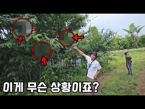 급하게 부르길래 달려가보니 이럴줄은 몰랐네요..ㄷㄷ(밤,낮 <strong>채집</strong>)